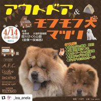 画像1034
