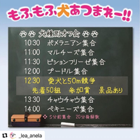 画像1036