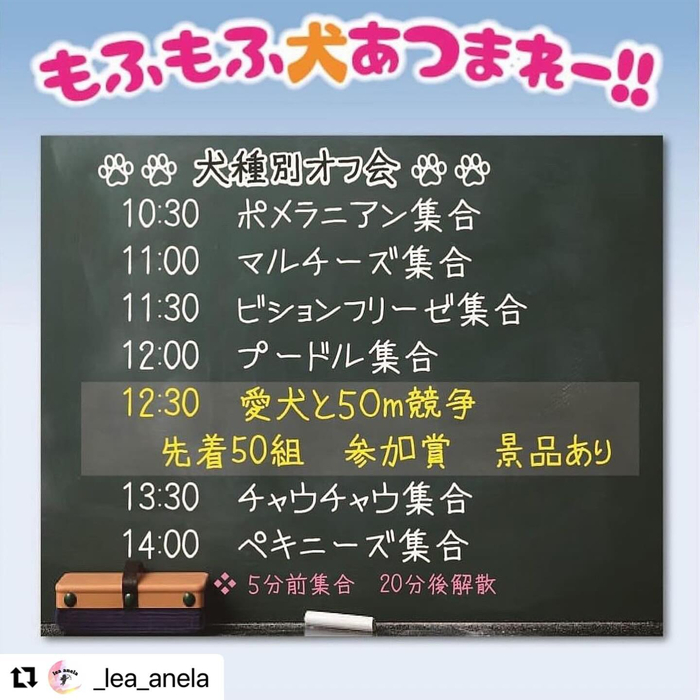 画像1036
