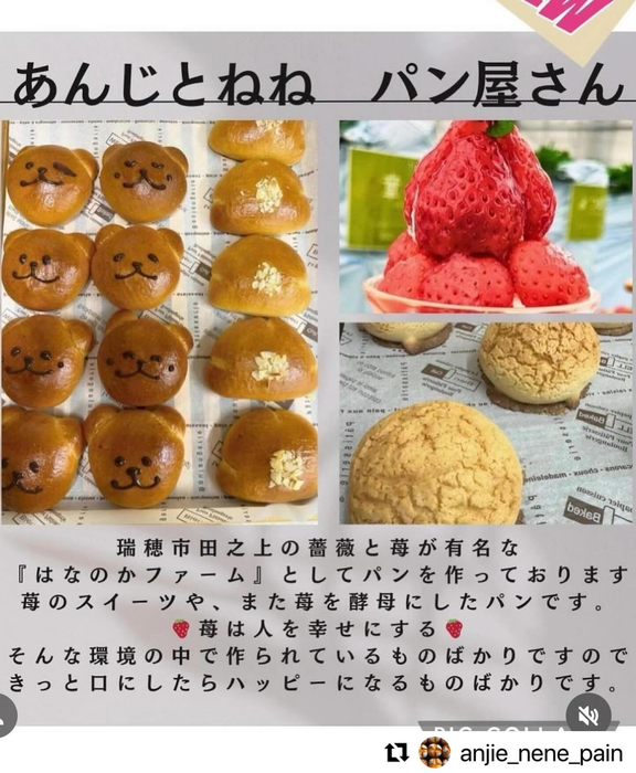 画像1222
