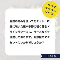 画像1728