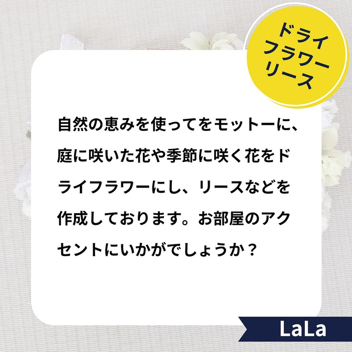 画像1728