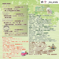 画像995